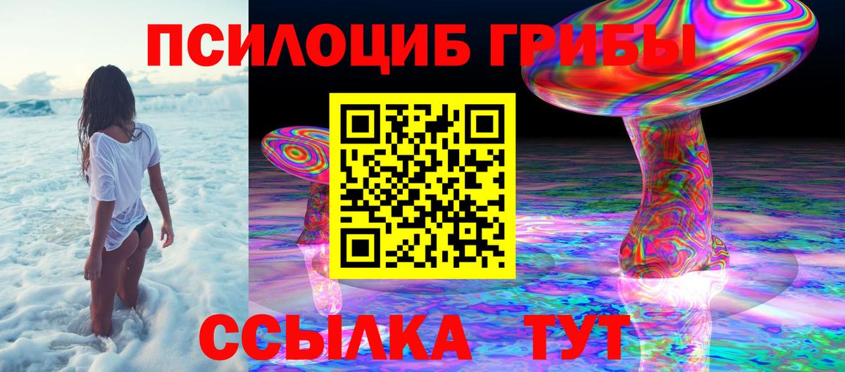 Псилоцибиновые грибы GOLDEN TEACHER Саранск
